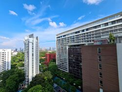 The Peak @ Cairnhill I (D9), Apartment #484907141